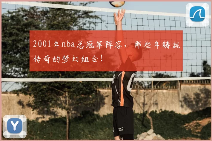 2001年nba总冠军阵容，那些年铸就传奇的梦幻组合！
