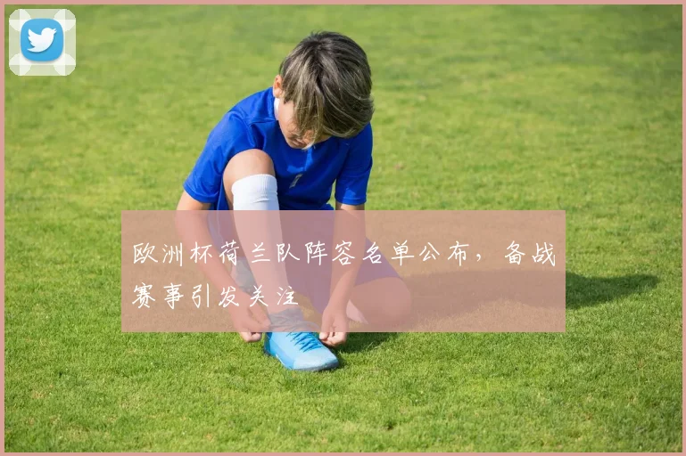 欧洲杯荷兰队阵容名单公布,备战赛事引发关注